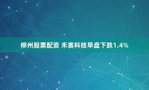 柳州股票配资 禾赛科技早盘下跌1.4%