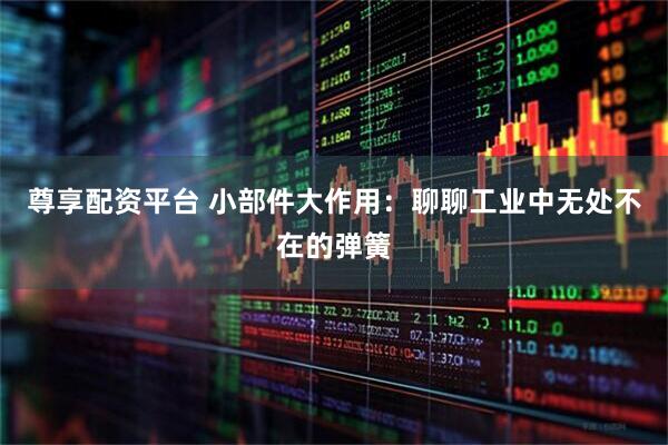 尊享配资平台 小部件大作用：聊聊工业中无处不在的弹簧