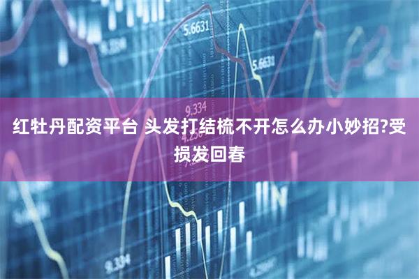 红牡丹配资平台 头发打结梳不开怎么办小妙招?受损发回春