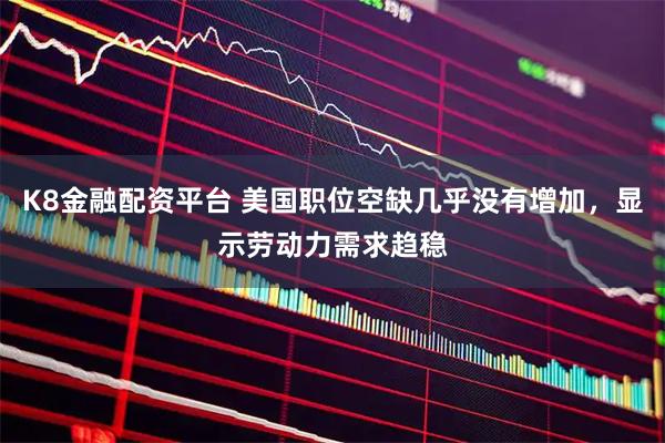 K8金融配资平台 美国职位空缺几乎没有增加，显示劳动力需求趋稳