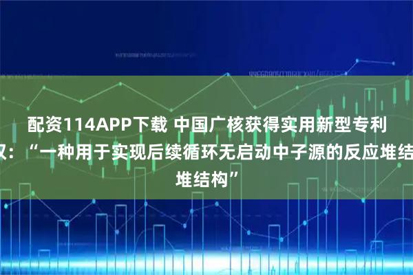 配资114APP下载 中国广核获得实用新型专利授权：“一种用于实现后续循环无启动中子源的反应堆结构”