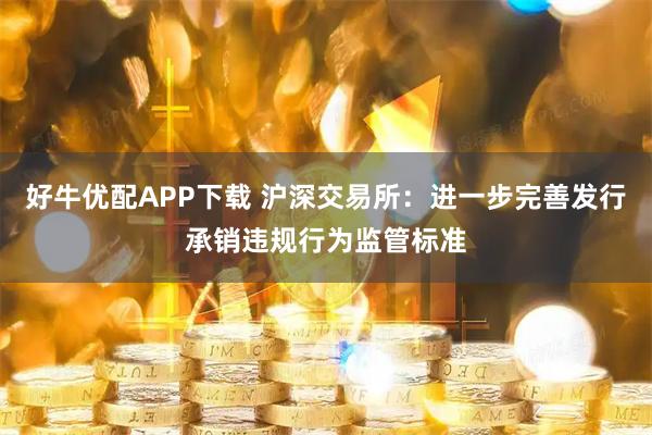 好牛优配APP下载 沪深交易所：进一步完善发行承销违规行为监管标准